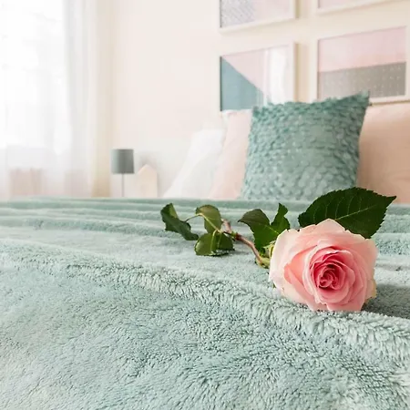 La Rosa By * فيرّارا