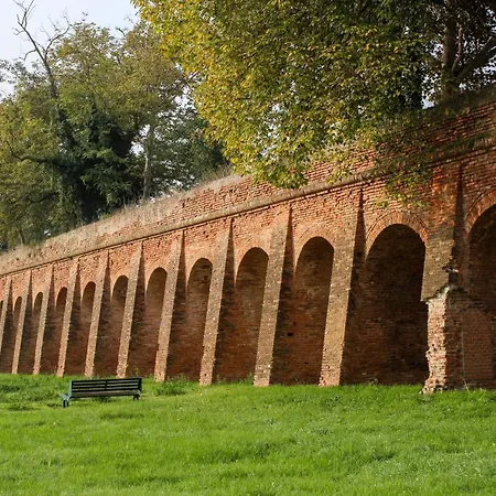 La Rosa Ferrara